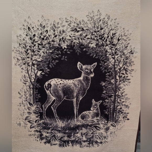 VINTAGE SAN MARCOS BLANKET 55" WIDE X 67" TALL - Picture 3 of 8